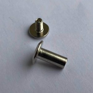Įsukamos kniedės/varžteliai - 10mm kojelė, 9mm galvutė, sidabrinė spalva, 10vnt